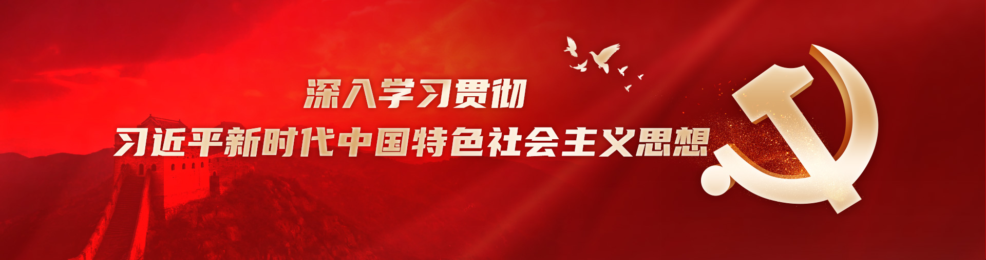 党的建设